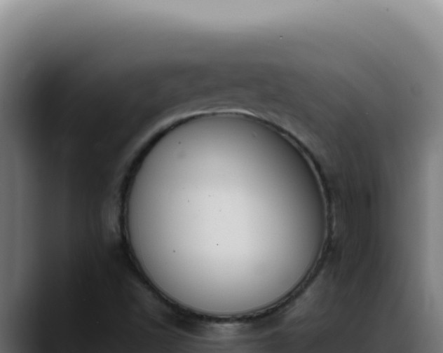 X0000088401502200705291418