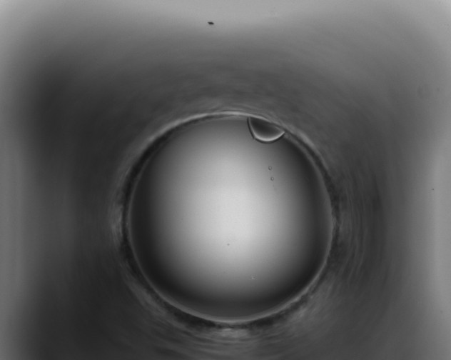 X0000088401503200705291418