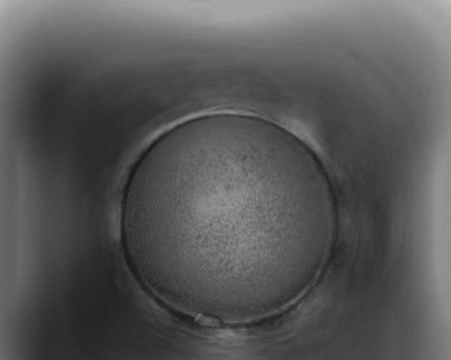 X0000088401504200705291418