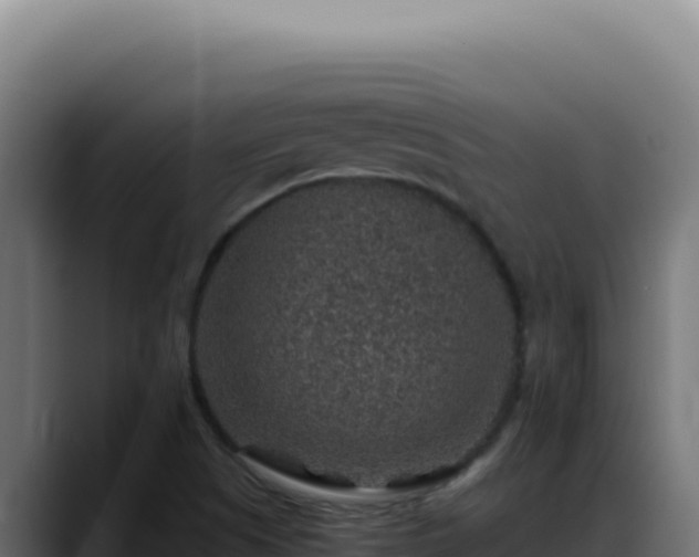 X0000088401505200705291418