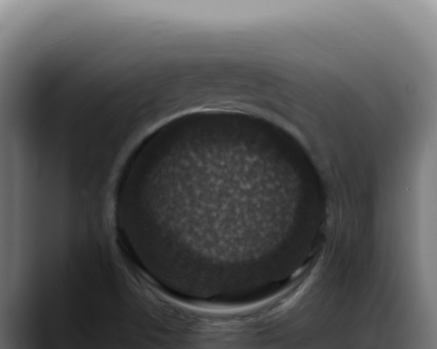 X0000088401506200705291418