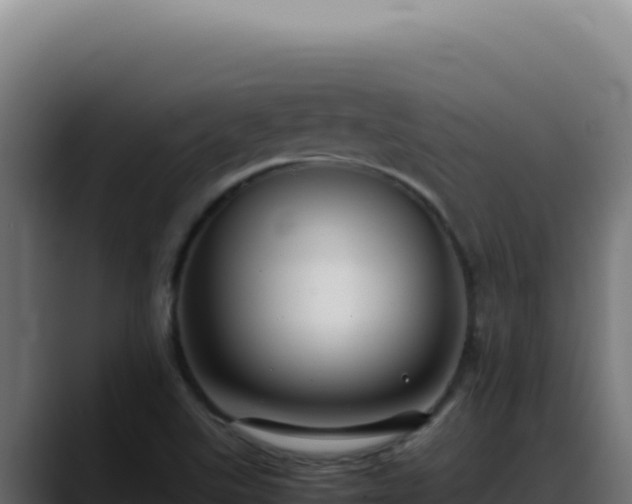 X0000088401507200705291418