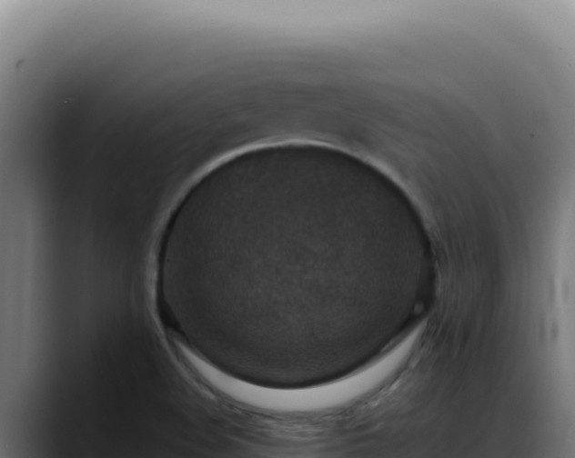 X0000088401508200705291418