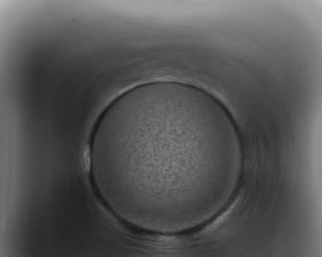 X0000088401509200705291418