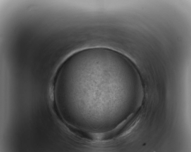 X0000088401510200705291418