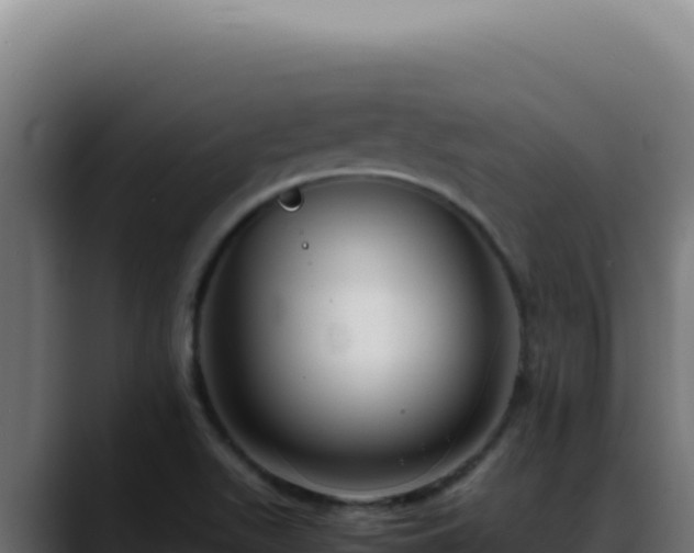 X0000088401511200705291418