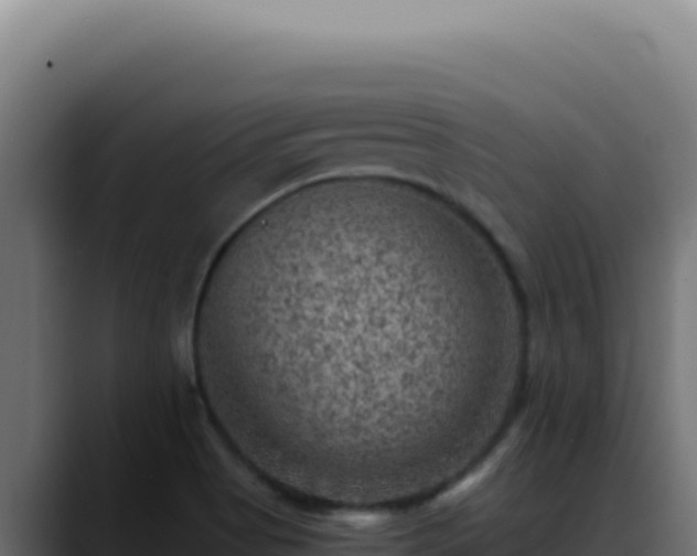 X0000088401513200705291418