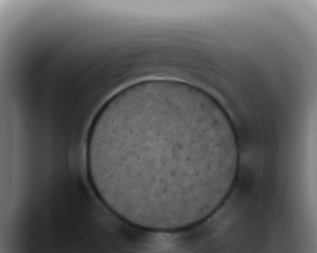 X0000088401514200705291418