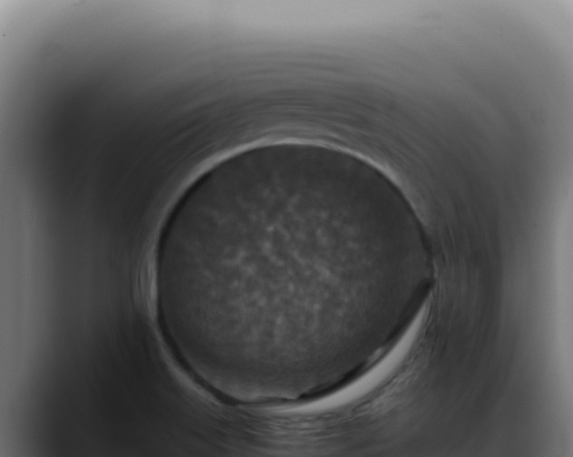 X0000088401515200705291418