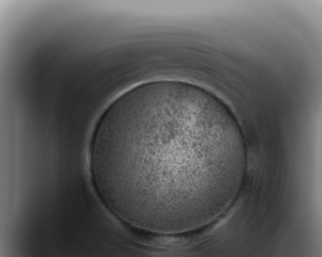 X0000088401517200705291418