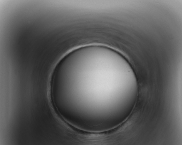 X0000088401518200705291418