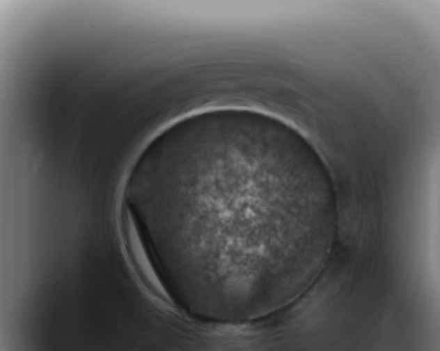 X0000088401519200705291418