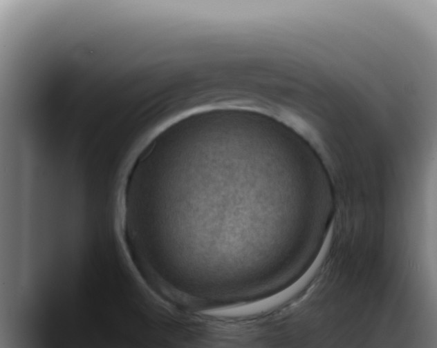 X0000088401520200705291418