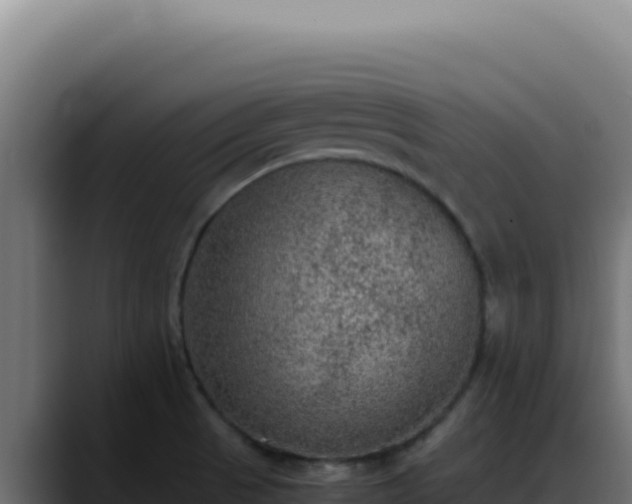 X0000088401521200705291418