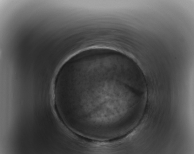 X0000088401522200705291418