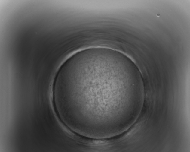 X0000088401523200705291418