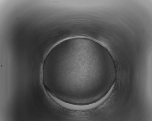 X0000088401524200705291418