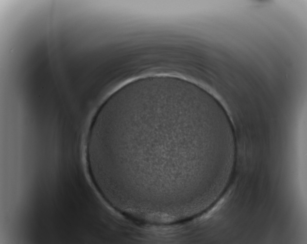 X0000088401525200705291418