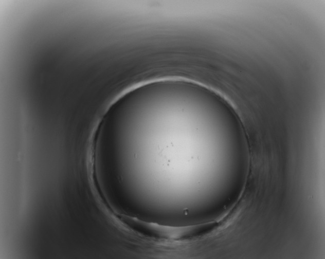 X0000088401526200705291418