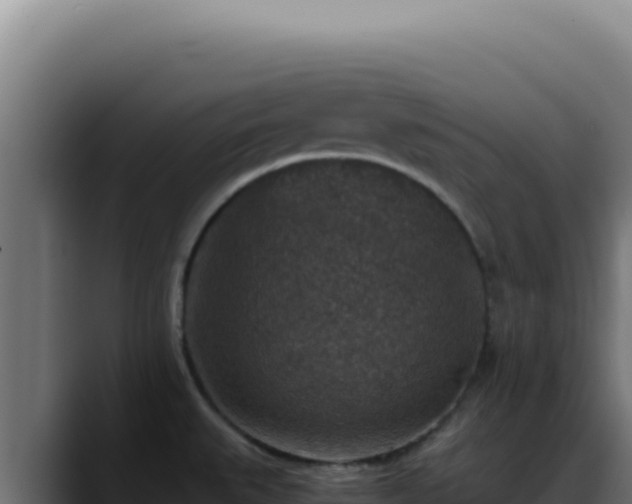 X0000088401527200705291418