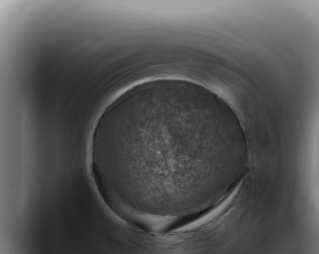 X0000088401528200705291418