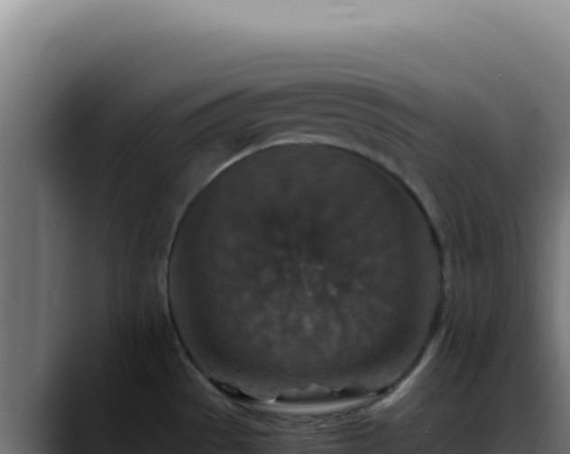 X0000088401529200705291418