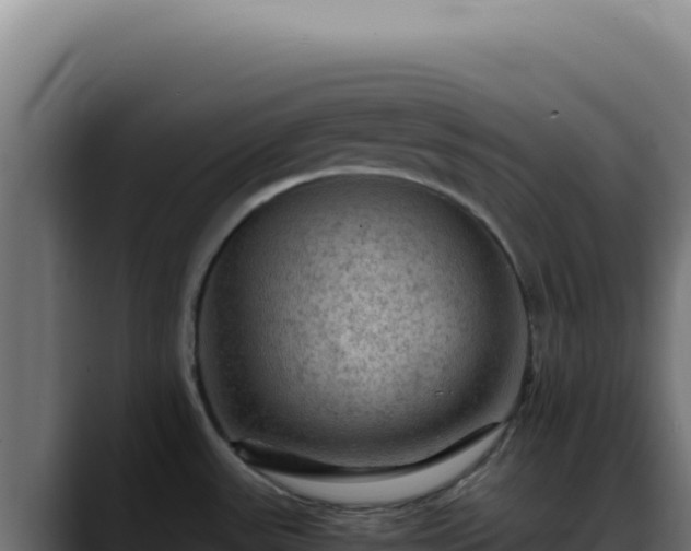 X0000088401531200705291418