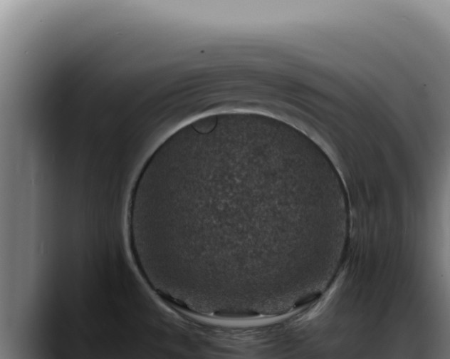 X0000088401533200705291418