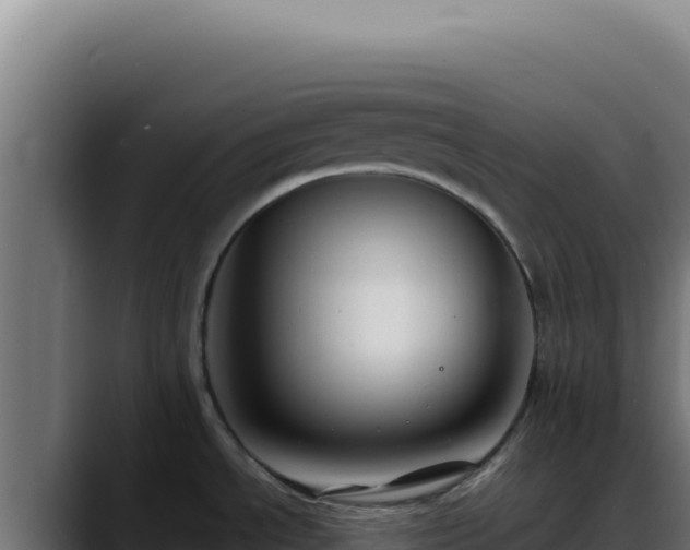 X0000088401534200705291418