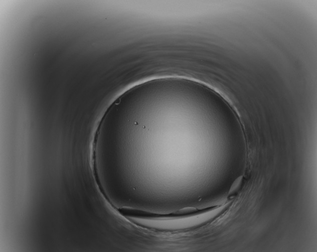 X0000088401535200705291418