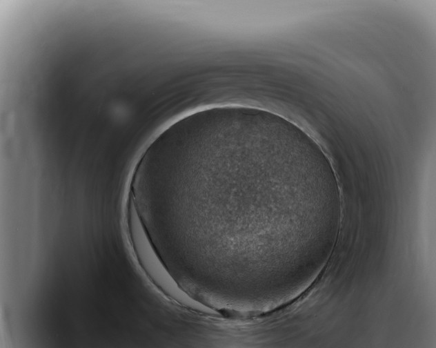 X0000088401536200705291418