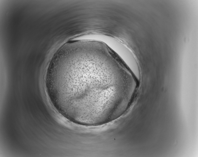 X0000088400001200706051144