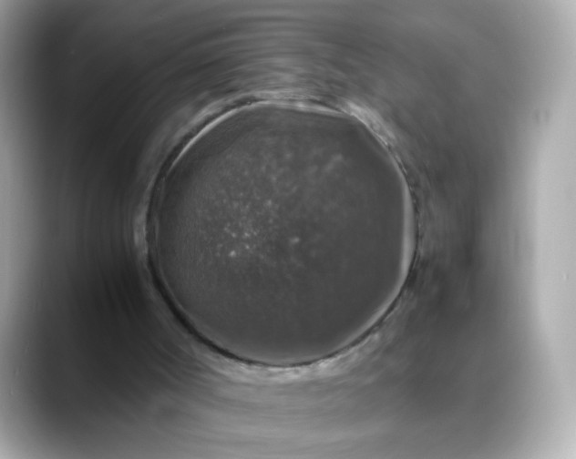 X0000088400002200706051144