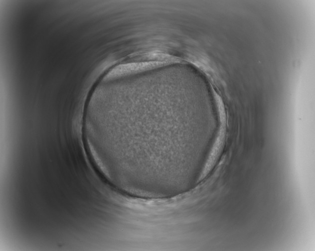 X0000088400003200706051144