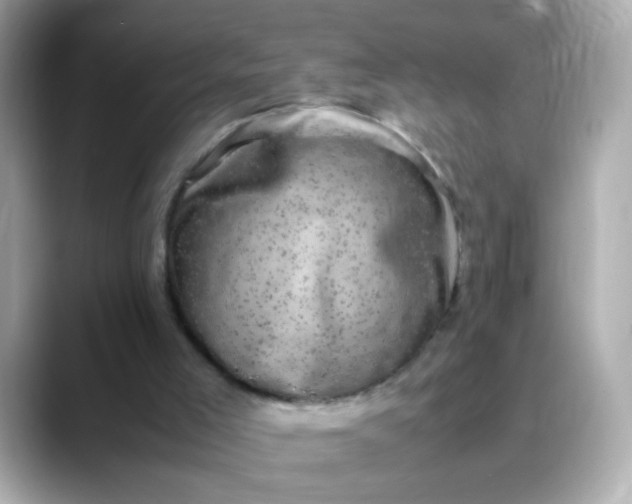 X0000088400005200706051144