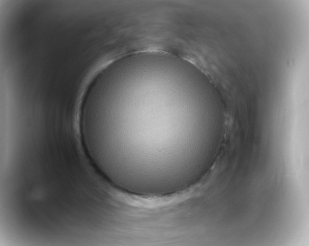 X0000088400006200706051144