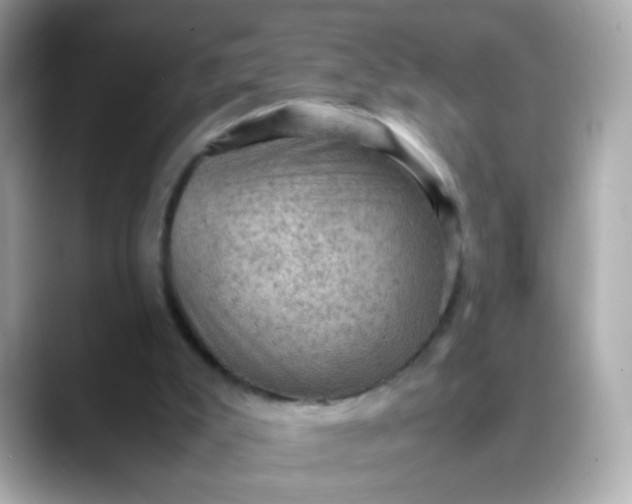 X0000088400007200706051144