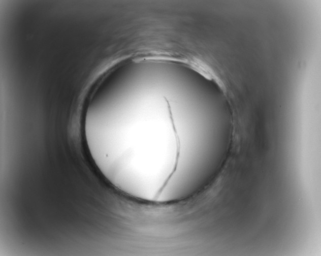 X0000088400008200706051144