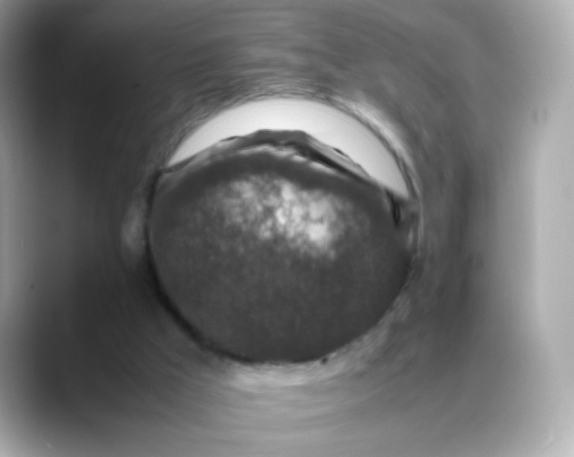 X0000088400009200706051144