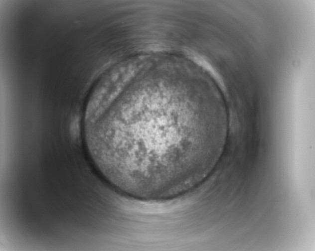 X0000088400010200706051144