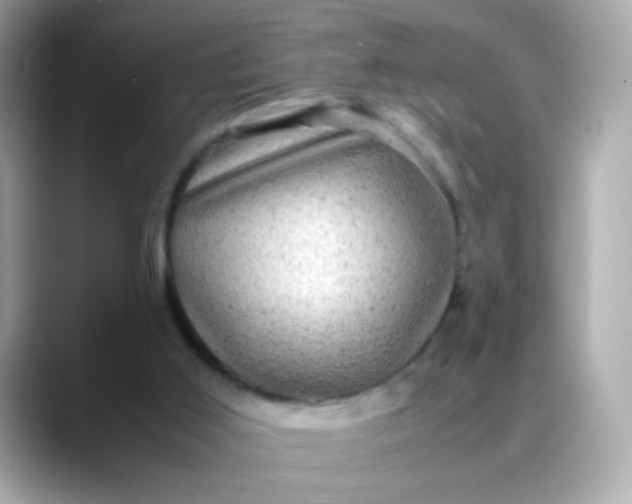 X0000088400011200706051144