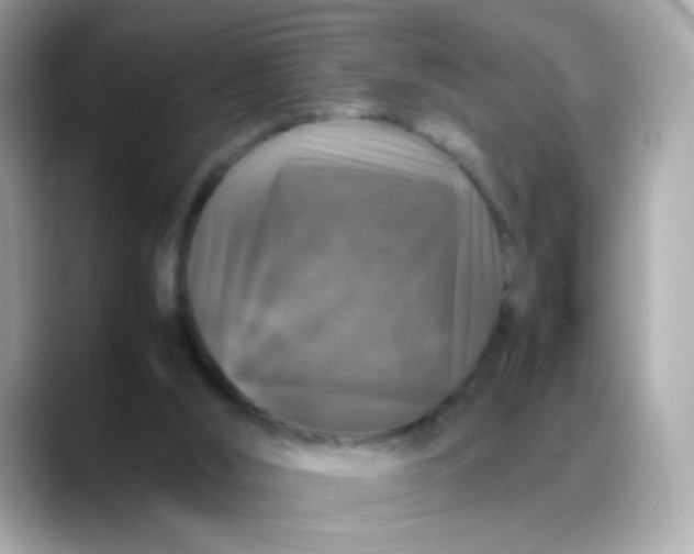 X0000088400012200706051144