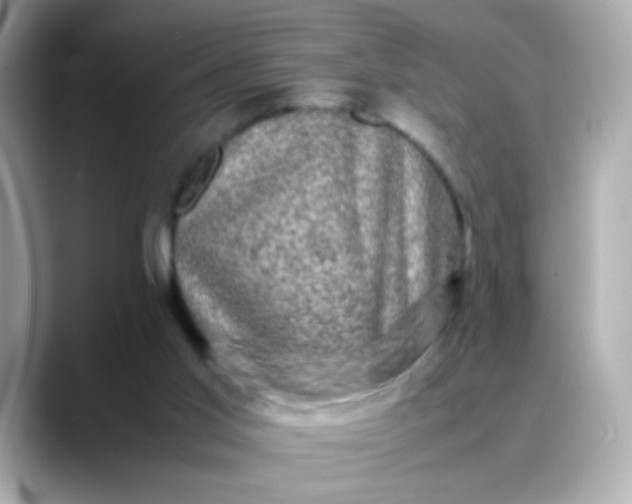 X0000088400013200706051144