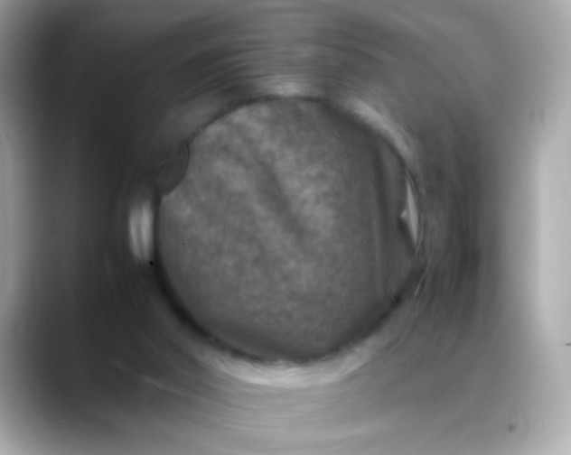 X0000088400014200706051144