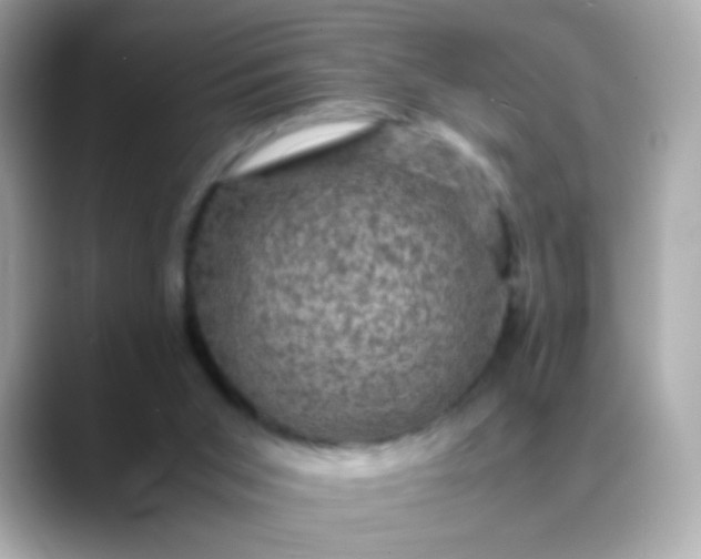 X0000088400015200706051144