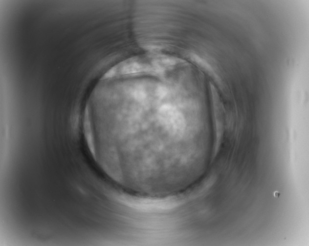 X0000088400016200706051144