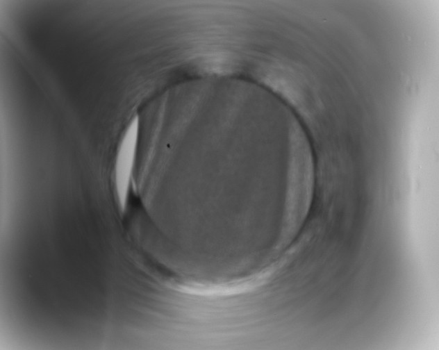 X0000088400017200706051144