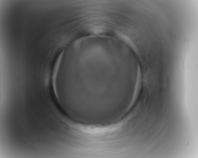 X0000088400018200706051144