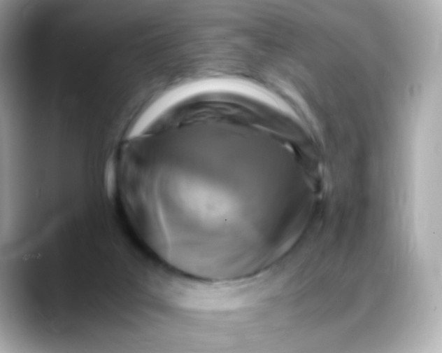 X0000088400019200706051144