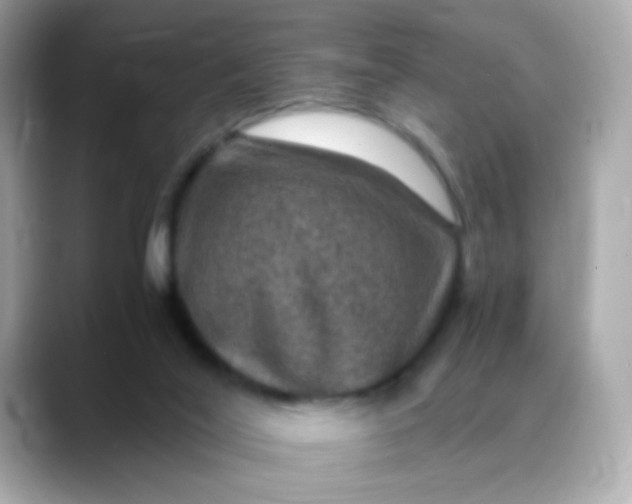 X0000088400020200706051144